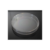 Petri Dish, 100 x 15 mm (undivided)
